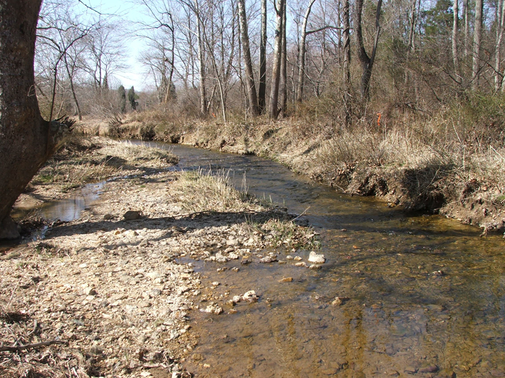 Field photo showing stream conditions at site LMON-302-R-2008-1