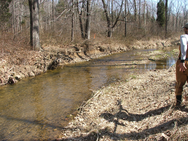 Field photo showing stream conditions at site LMON-302-R-2008-2