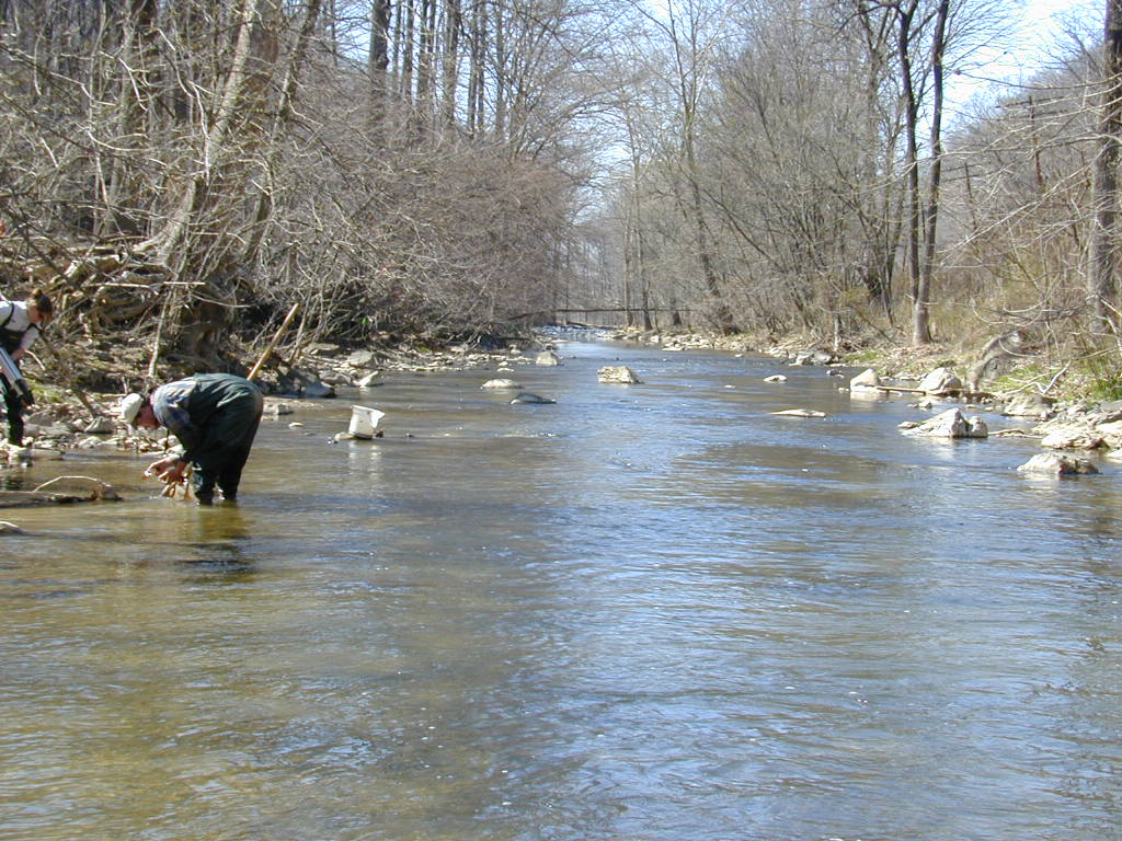 Field photo showing stream conditions at site LMON-316-T-2000-01