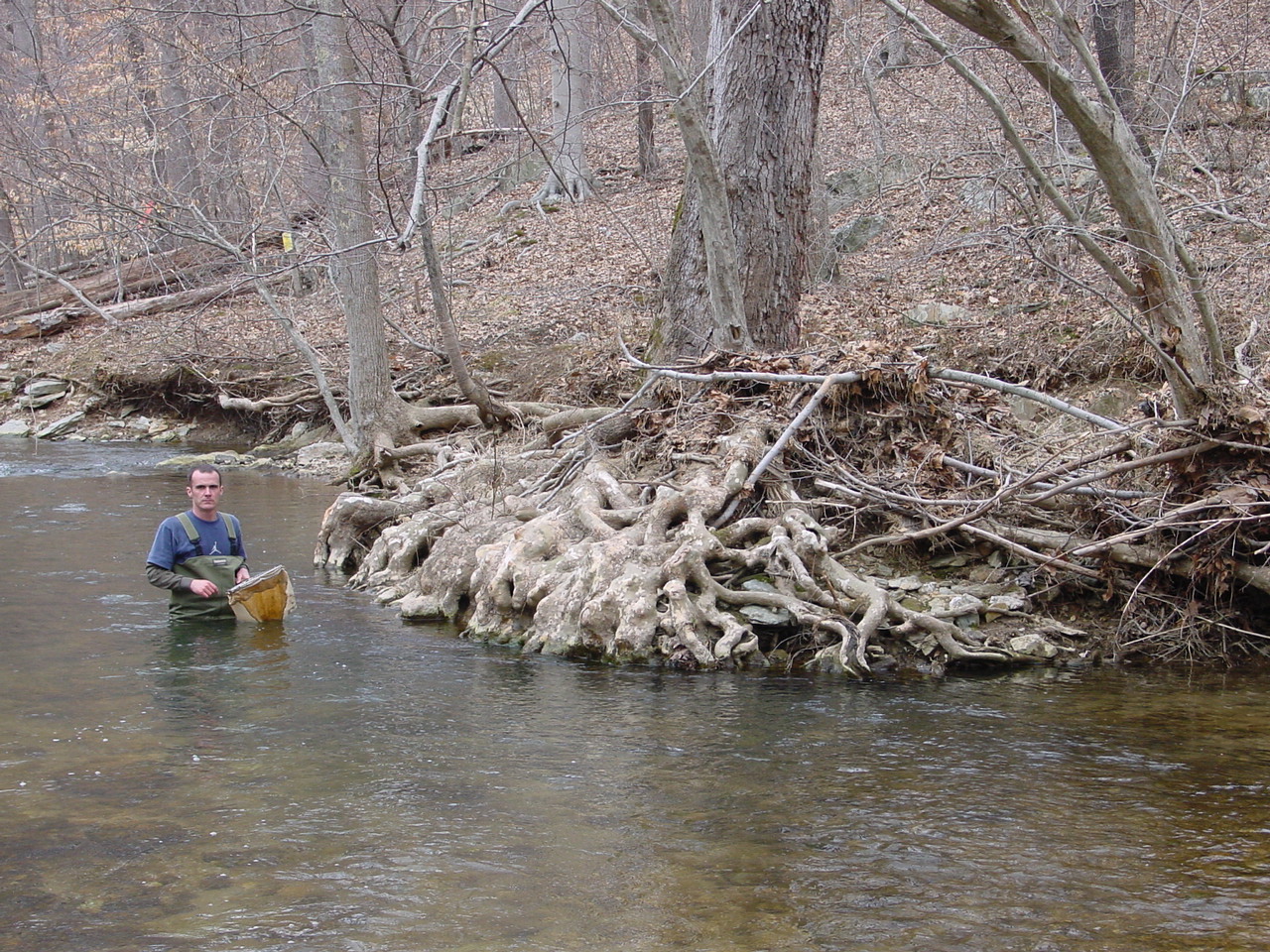 Field photo showing stream conditions at site LMON-322-R-2003-1