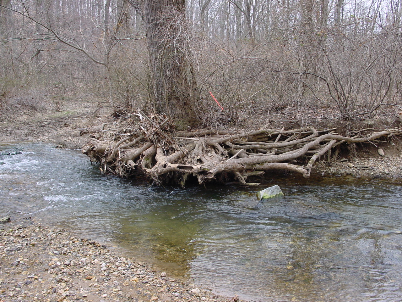 Field photo showing stream conditions at site LMON-322-R-2003-2