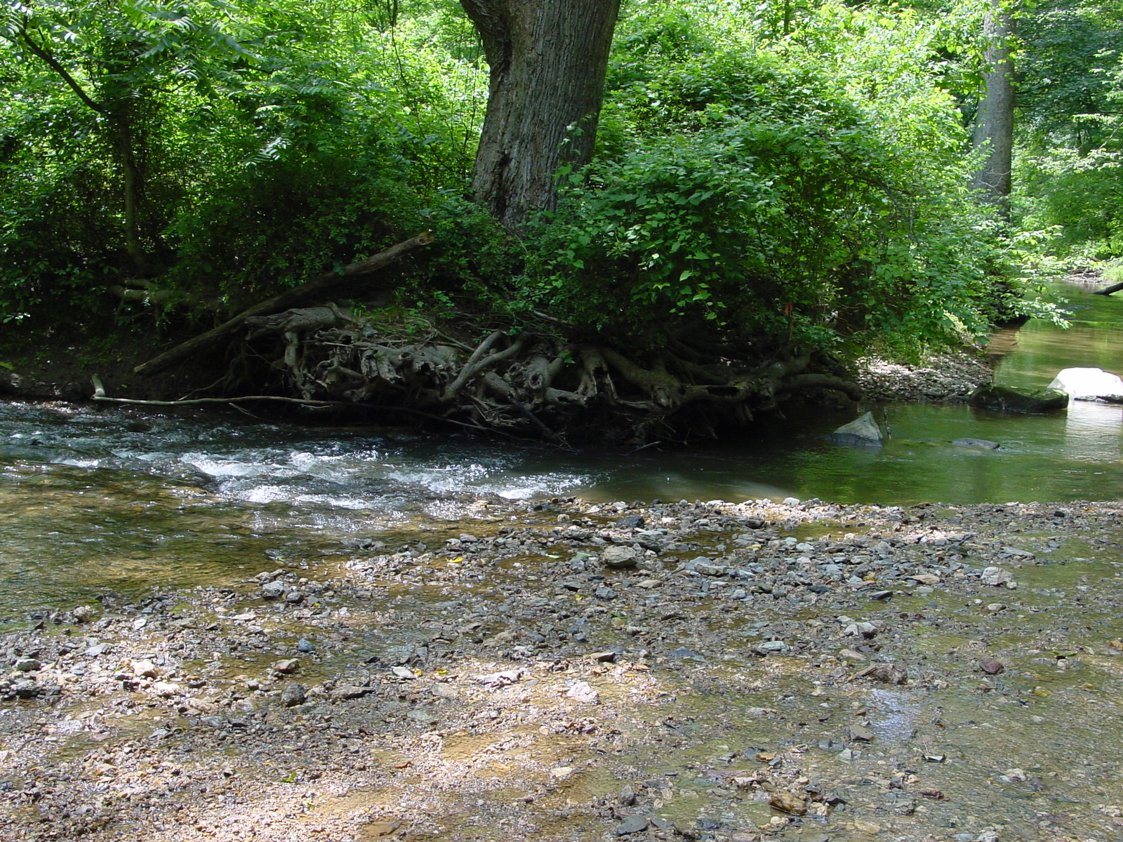 Field photo showing stream conditions at site LMON-322-R-2003-4