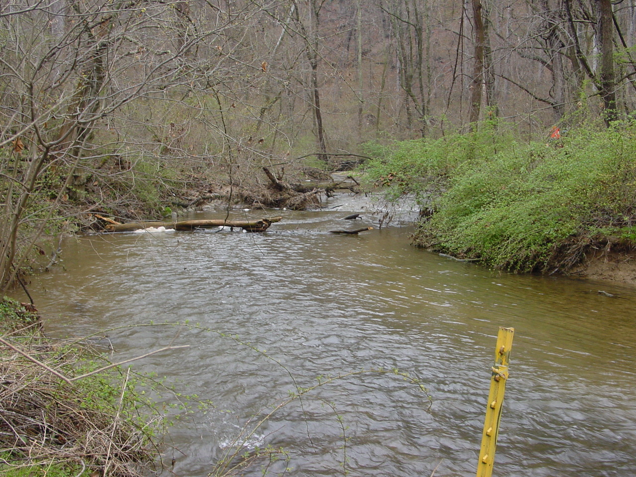 Field photo showing stream conditions at site LMON-328-R-2003-1