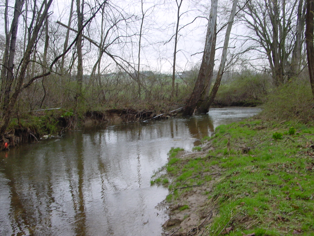 Field photo showing stream conditions at site LMON-328-R-2003-2