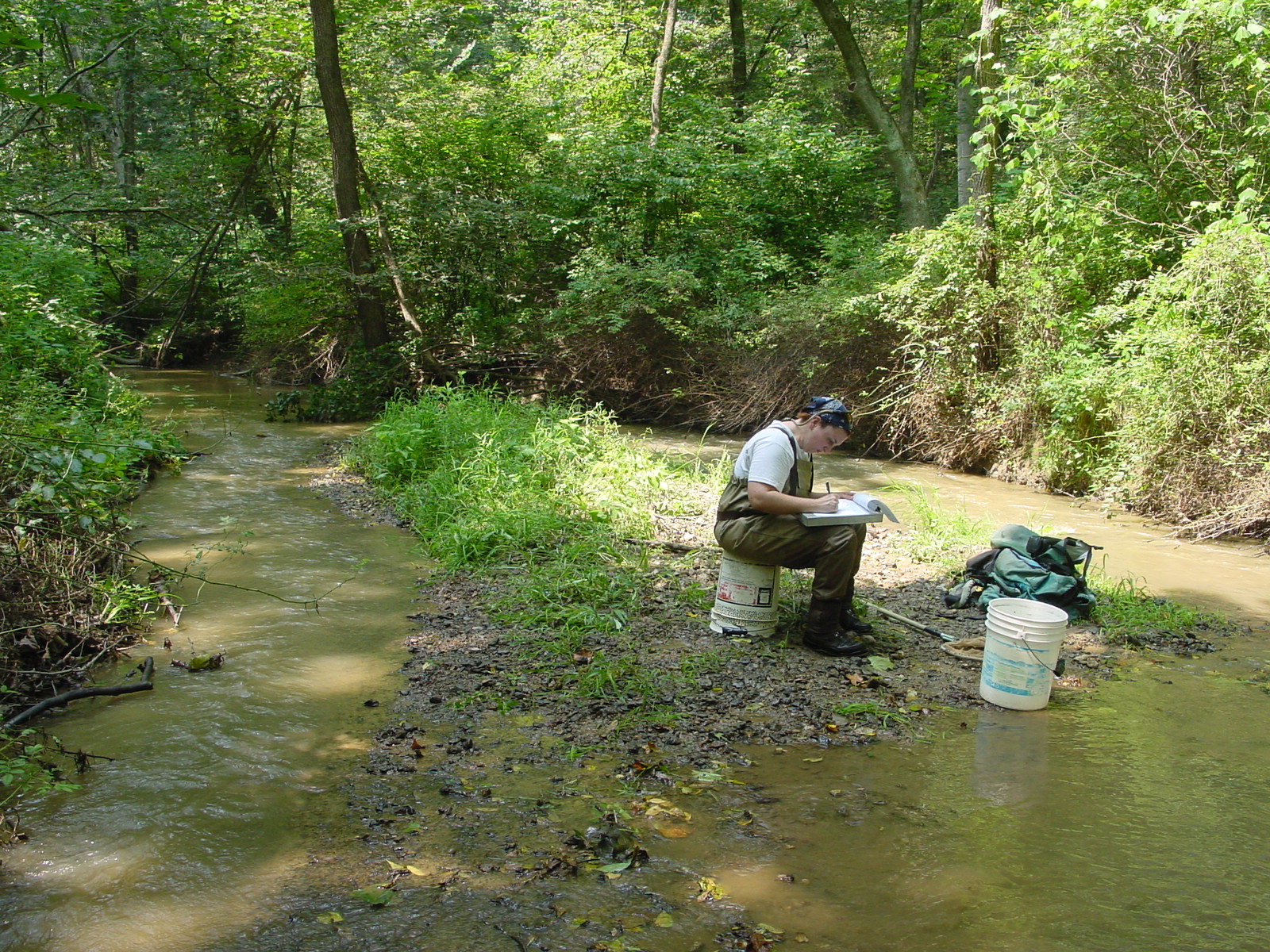 Field photo showing stream conditions at site LMON-328-R-2003-5
