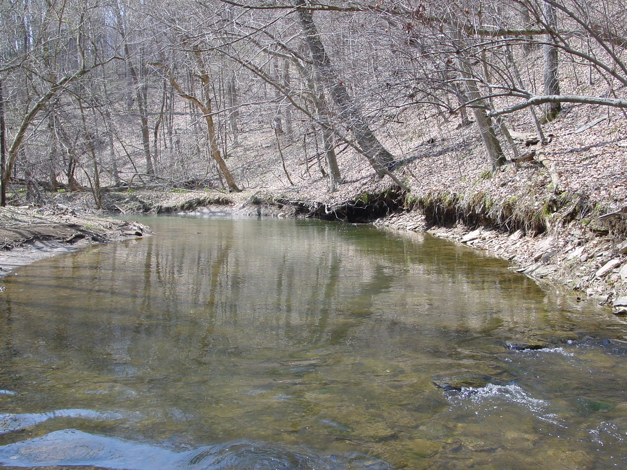 Field photo showing stream conditions at site LMON-337-R-2003-1