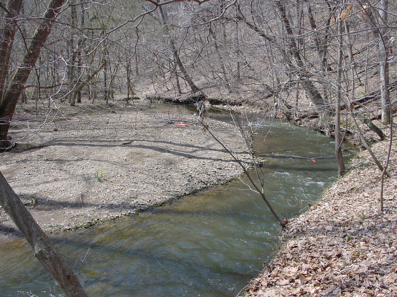 Field photo showing stream conditions at site LMON-337-R-2003-2