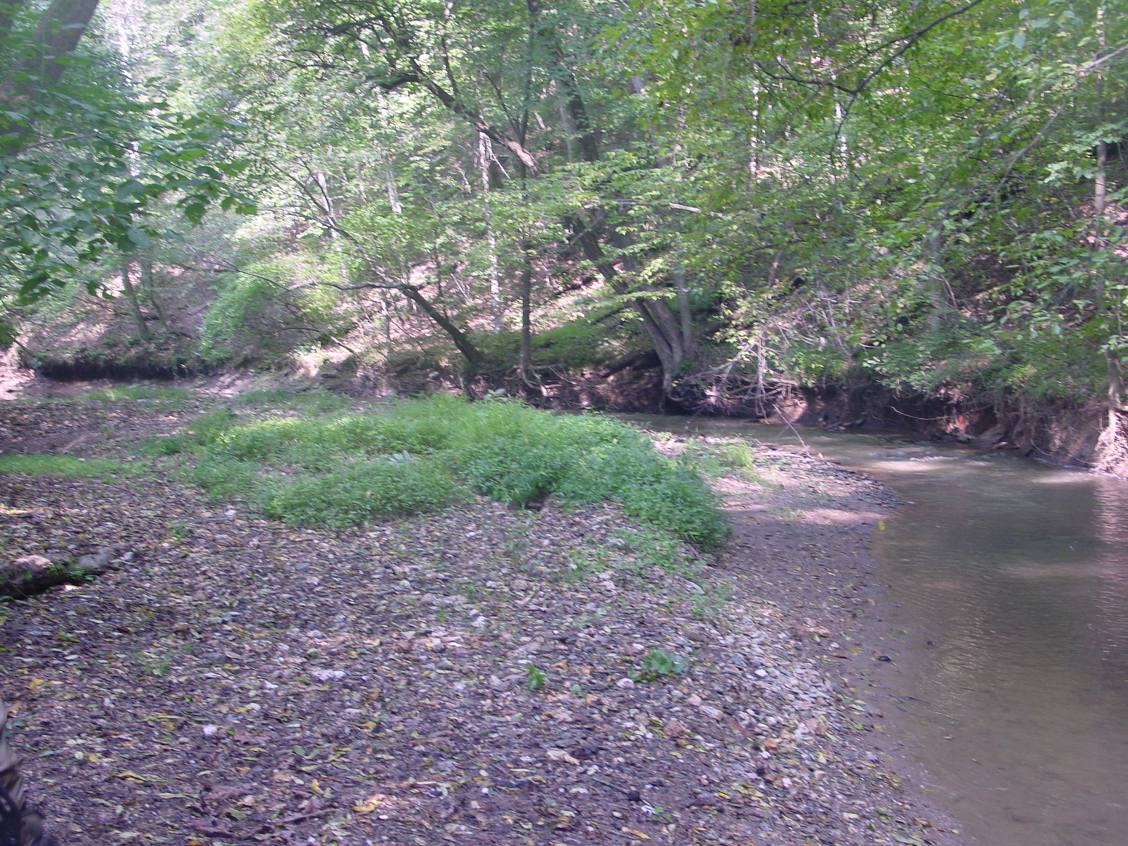 Field photo showing stream conditions at site LMON-337-R-2003-3