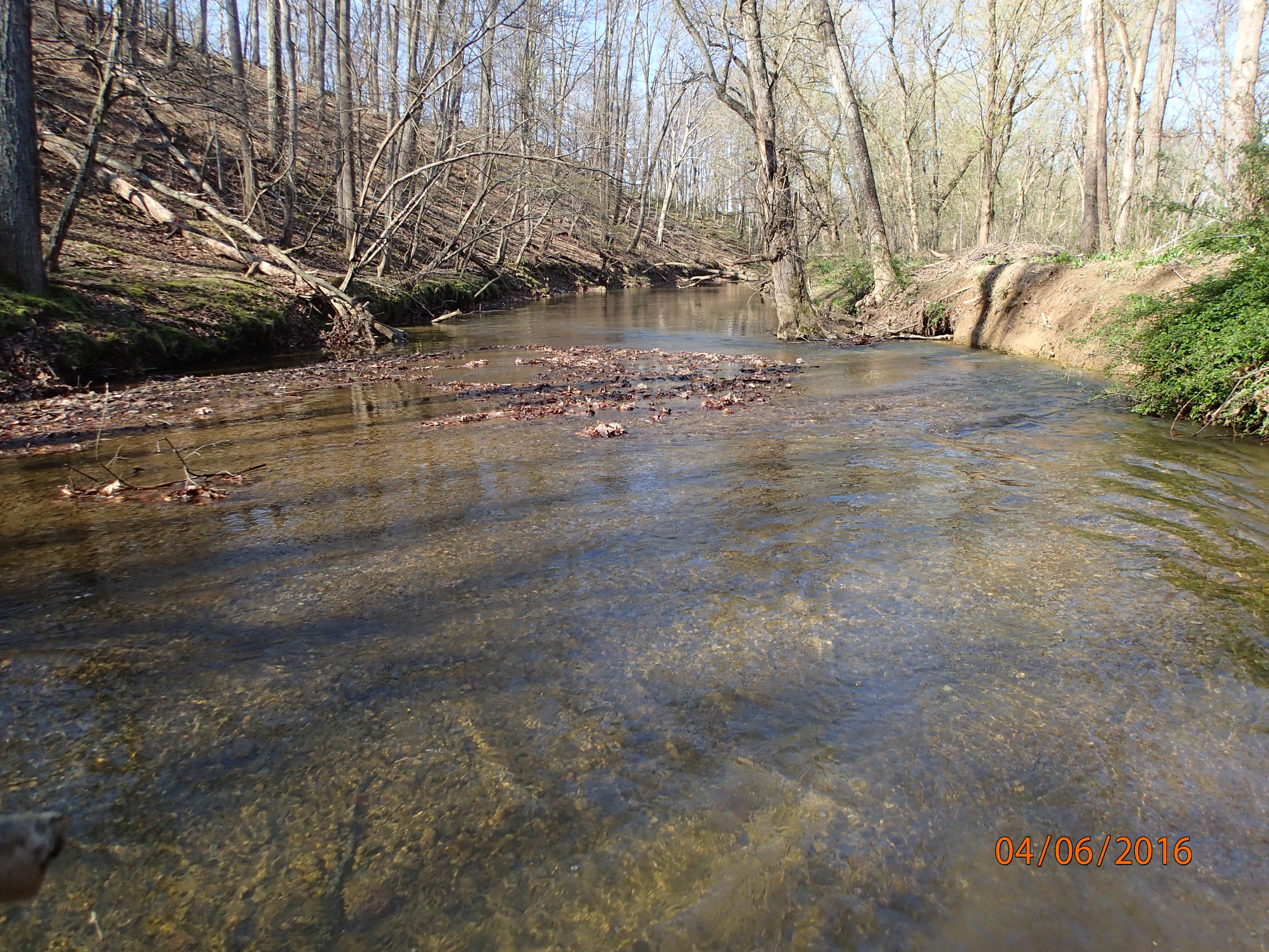 Field photo showing stream conditions at site LMON-345-R-2016-MidpointDownstream