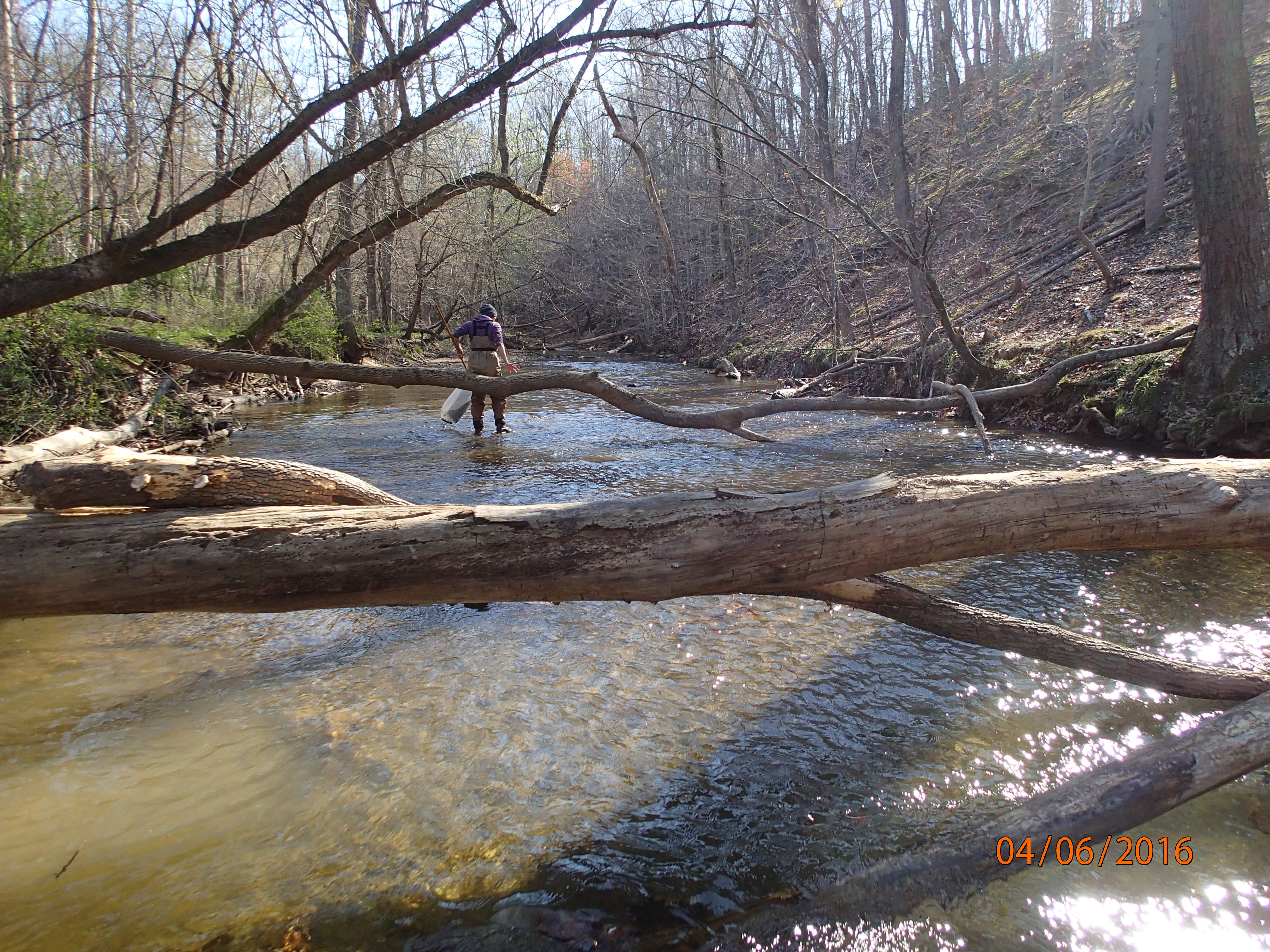 Field photo showing stream conditions at site LMON-345-R-2016-MidpointUpstream
