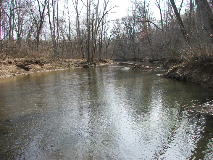 Field photo showing stream conditions at site LMON-406-R-2008-2
