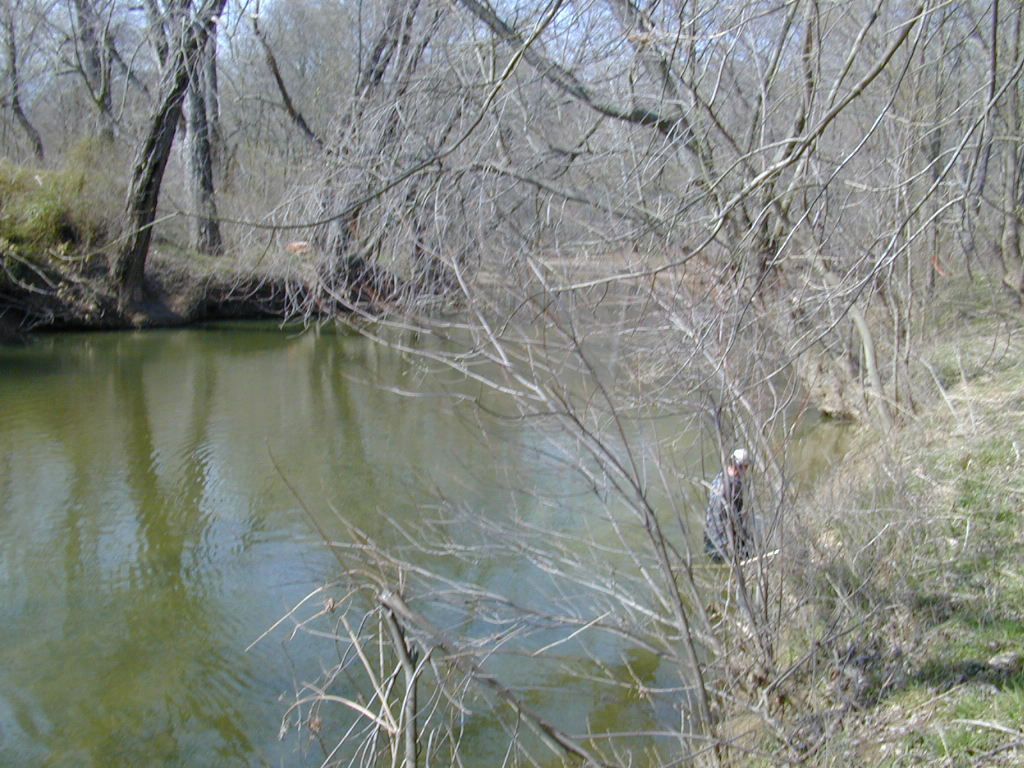 Field photo showing stream conditions at site LMON-421-T-2000-01
