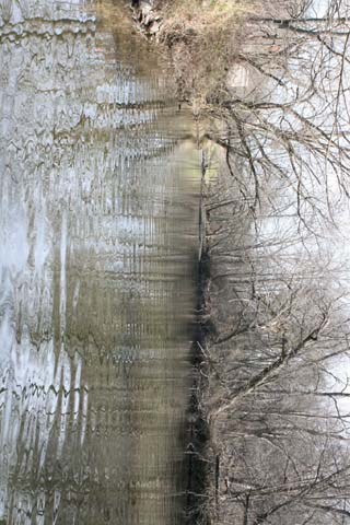 Field photo showing stream conditions at site LMON-494-B-2012-50mMarkUpstream