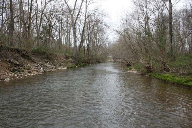 Field photo showing stream conditions at site LMON-495-B-2012-MidpointDownstream