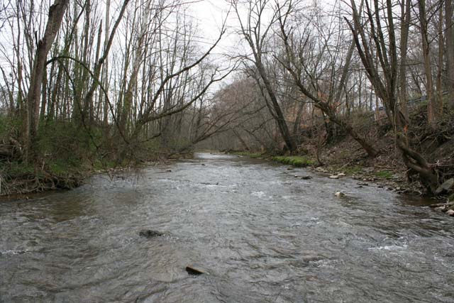 Field photo showing stream conditions at site LMON-495-B-2012-MidpointUpstream