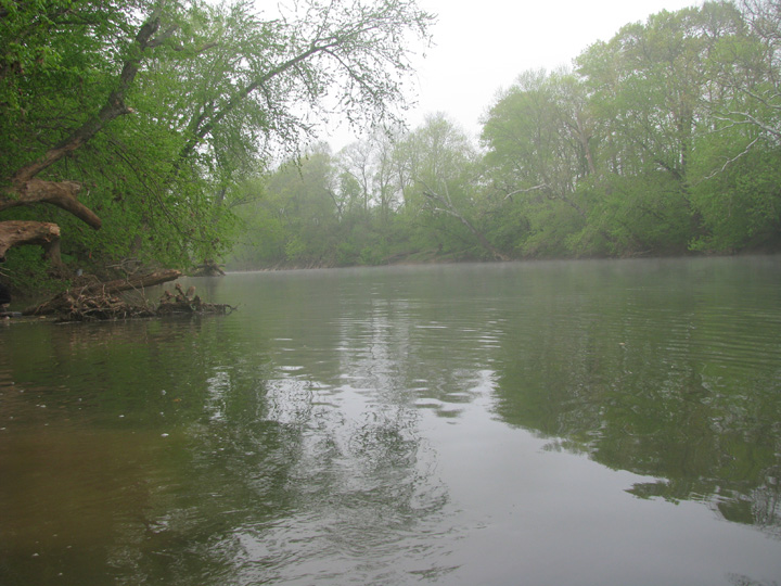 Field photo showing stream conditions at site LMON-613-H-2010-1