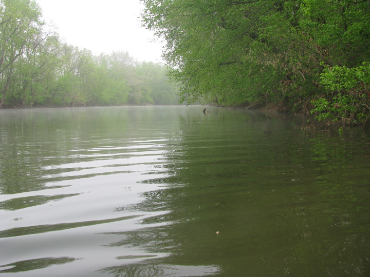 Field photo showing stream conditions at site LMON-613-H-2010-2
