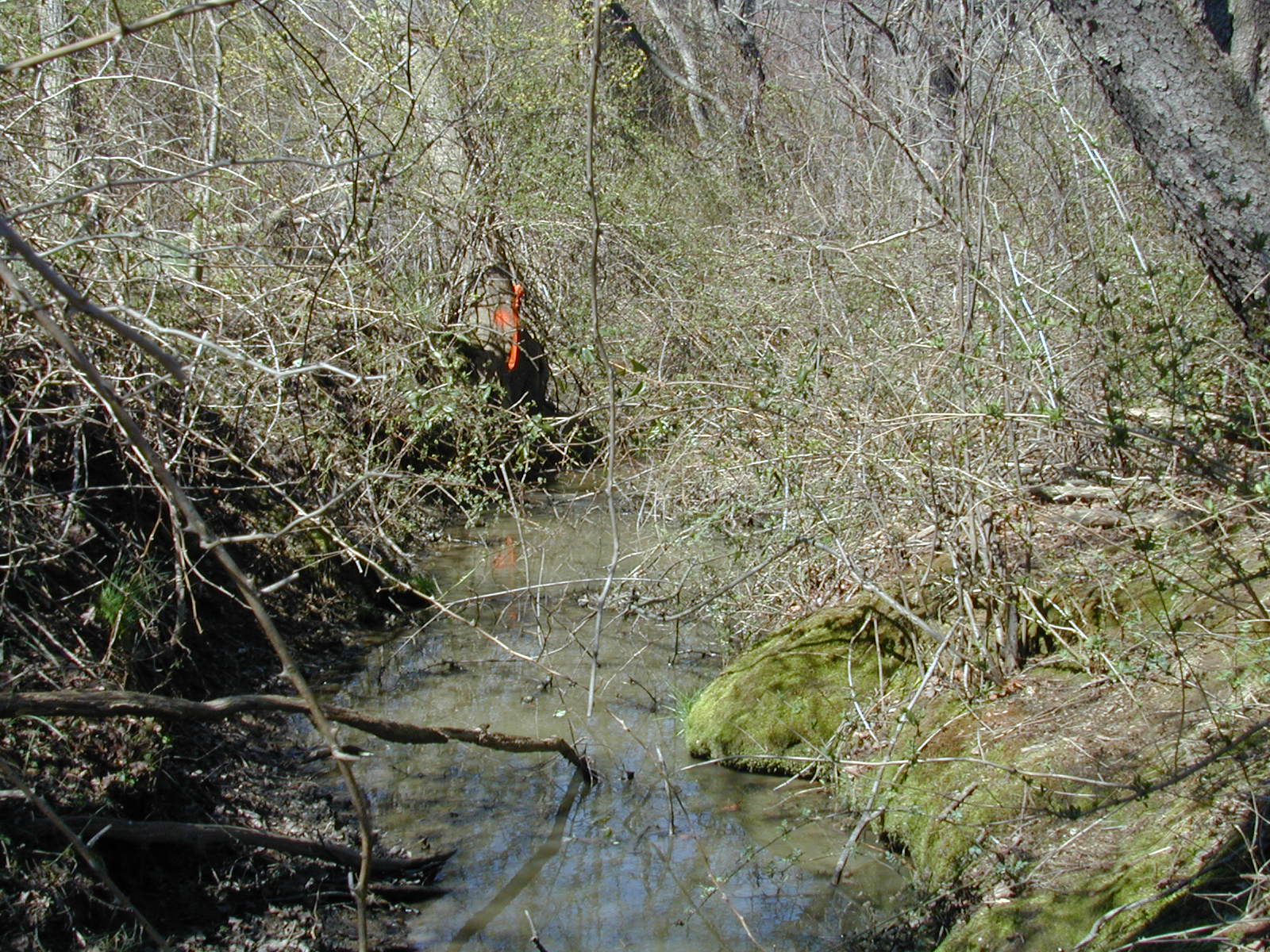 Field photo showing stream conditions at site LOCH-101-R-2002-495
