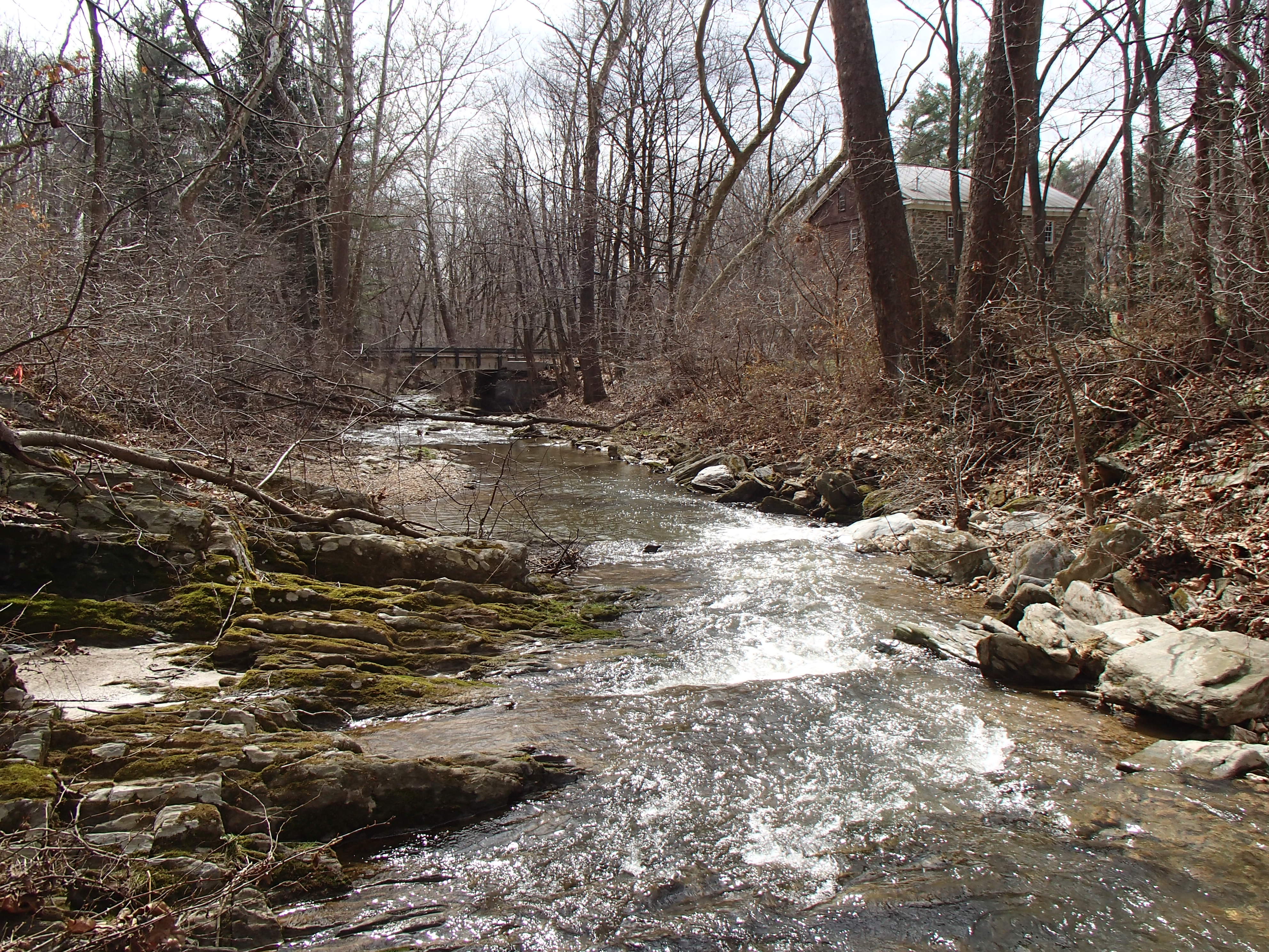 Field photo showing stream conditions at site LOCH-101-X-2014-2