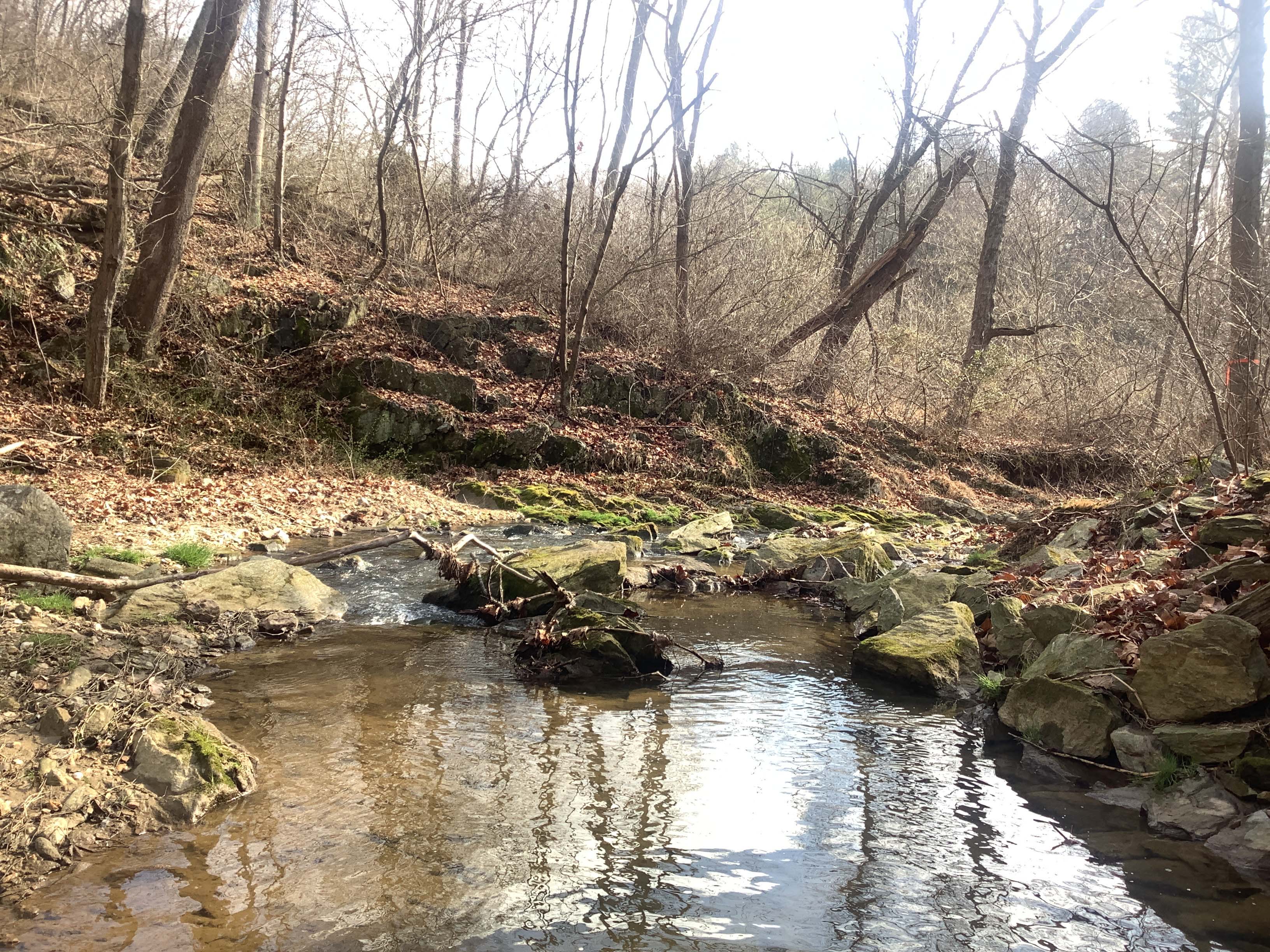 Field photo showing stream conditions at site LOCH-101-X-2023_Midpoint_facing_downstream
