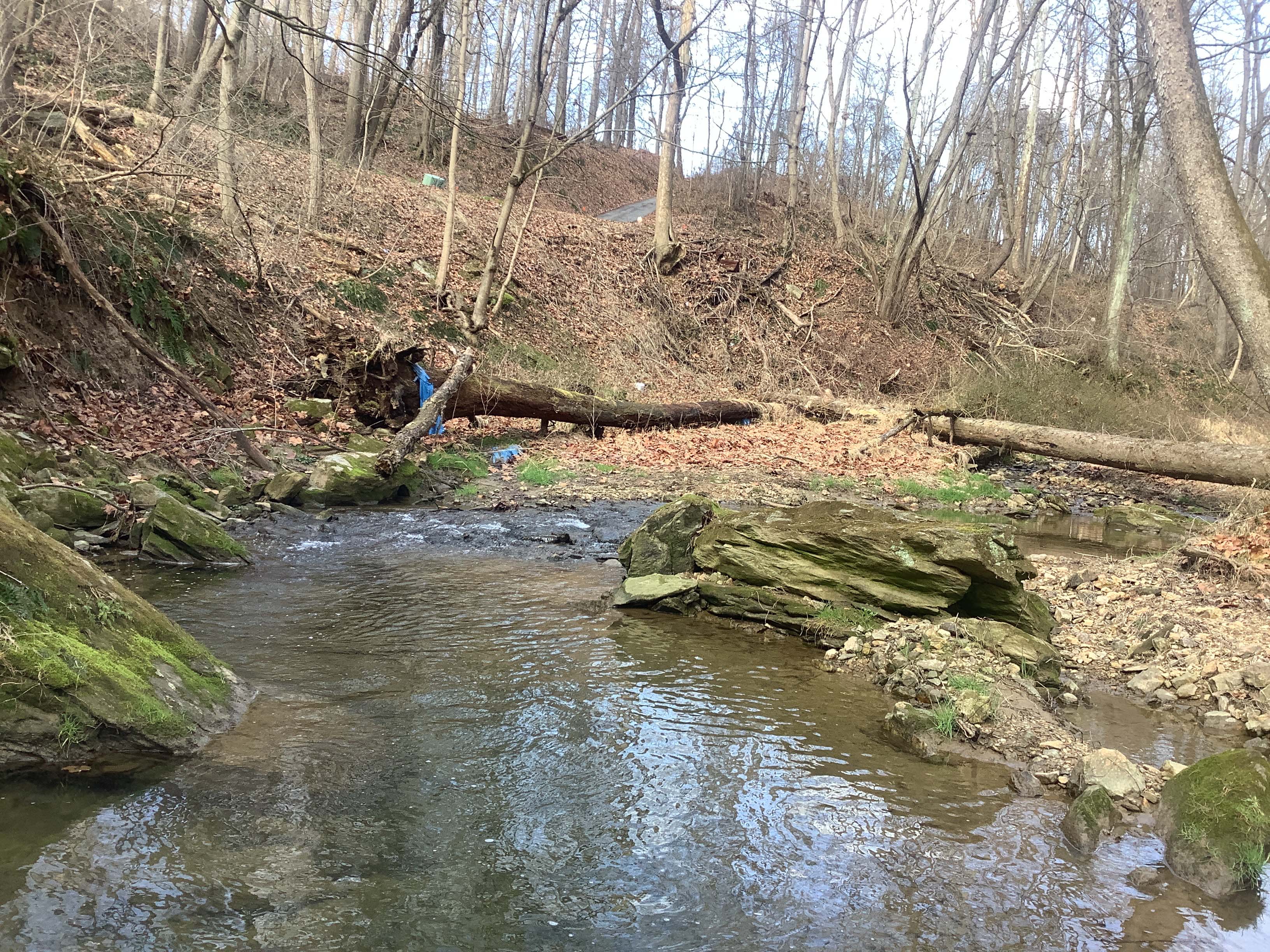 Field photo showing stream conditions at site LOCH-101-X-2023_Midpoint_facing_upstream