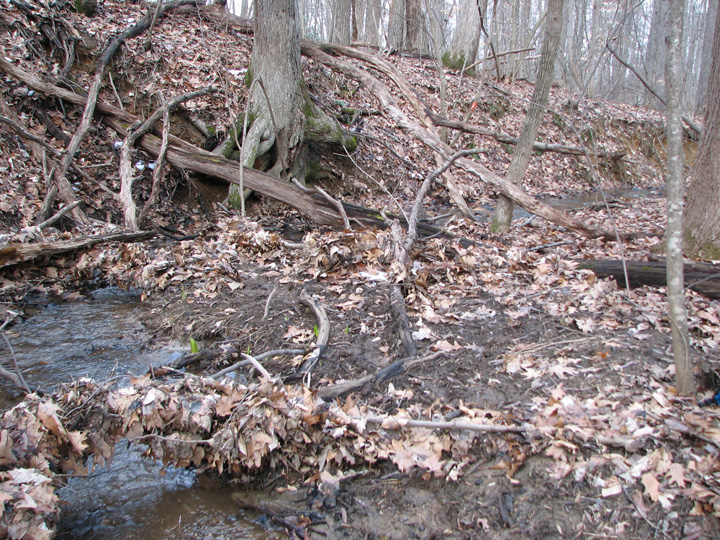 Field photo showing stream conditions at site LOCH-102-R-2007-1