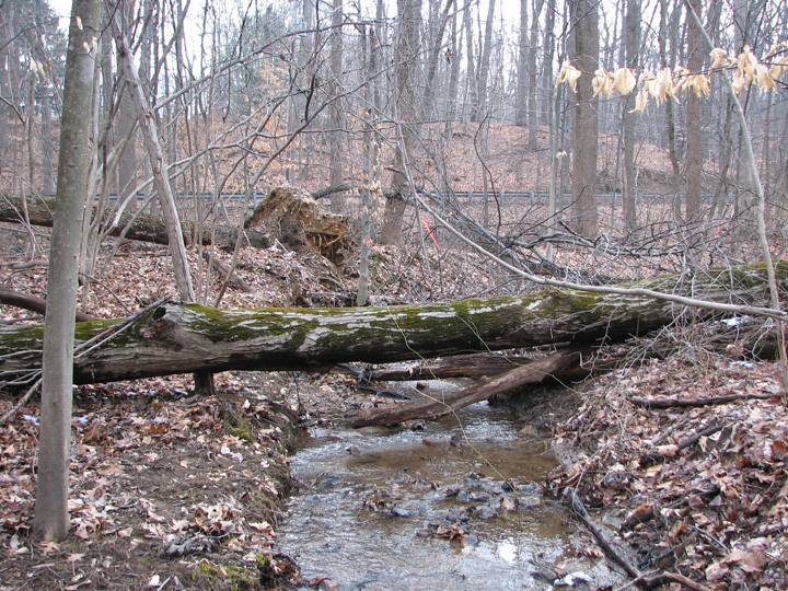 Field photo showing stream conditions at site LOCH-102-R-2007-2