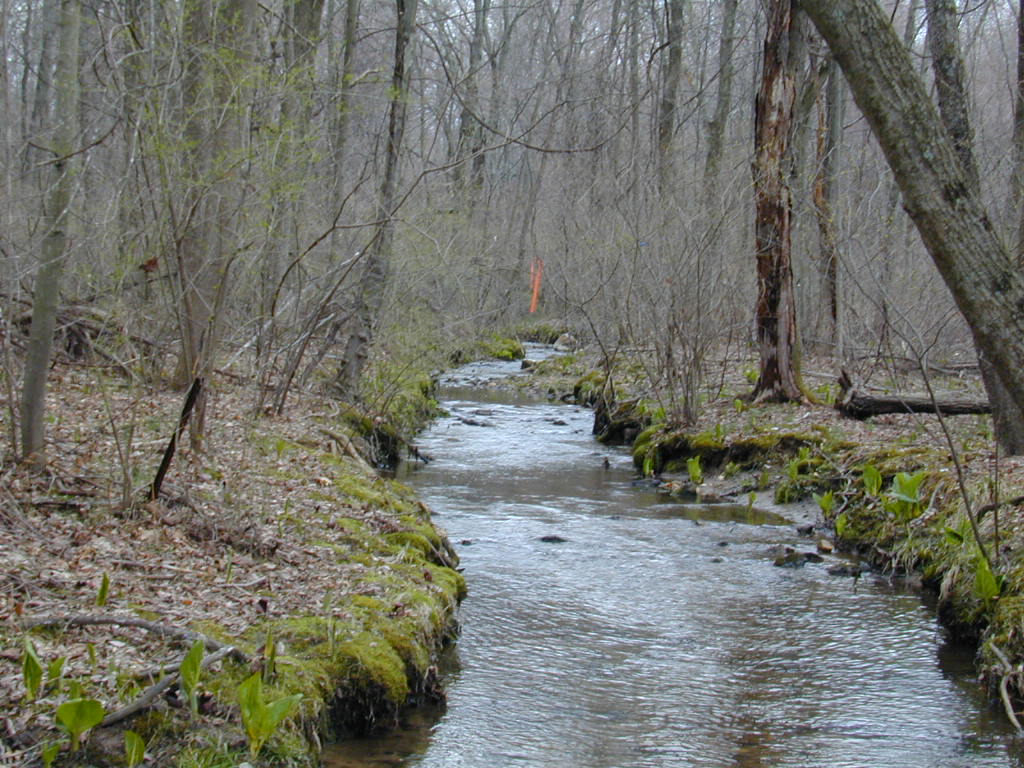 Field photo showing stream conditions at site LOCH-102-S-2000-01