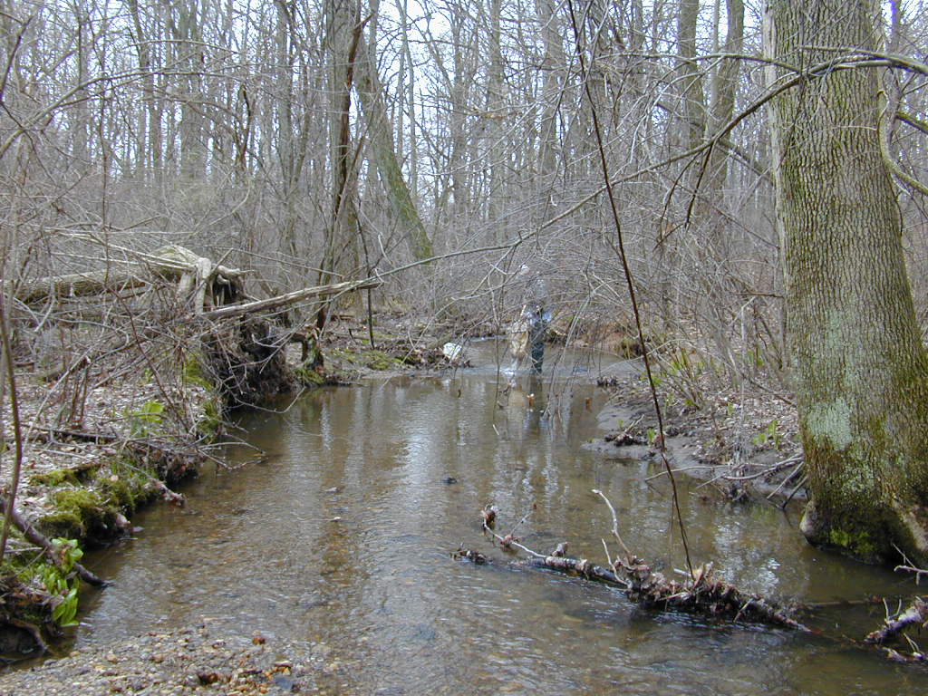 Field photo showing stream conditions at site LOCH-102-S-2000-02