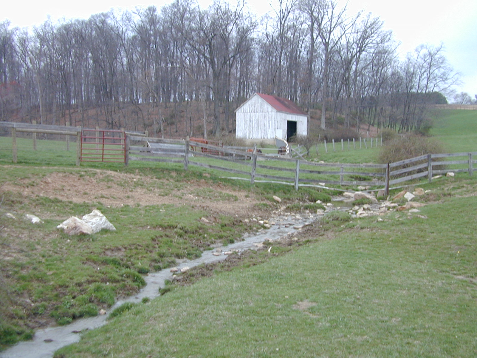 Field photo showing stream conditions at site LOCH-107-R-2002-509