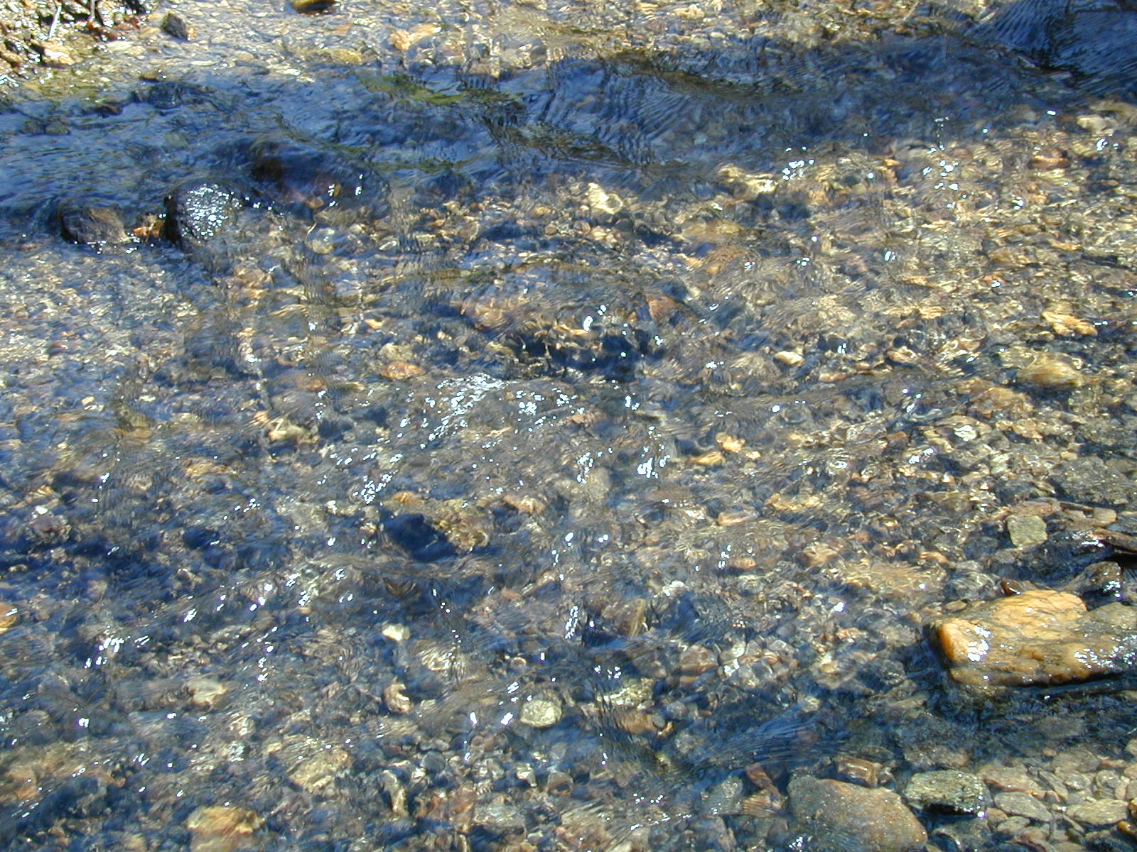 Field photo showing stream conditions at site LOCH-109-R-2002-490