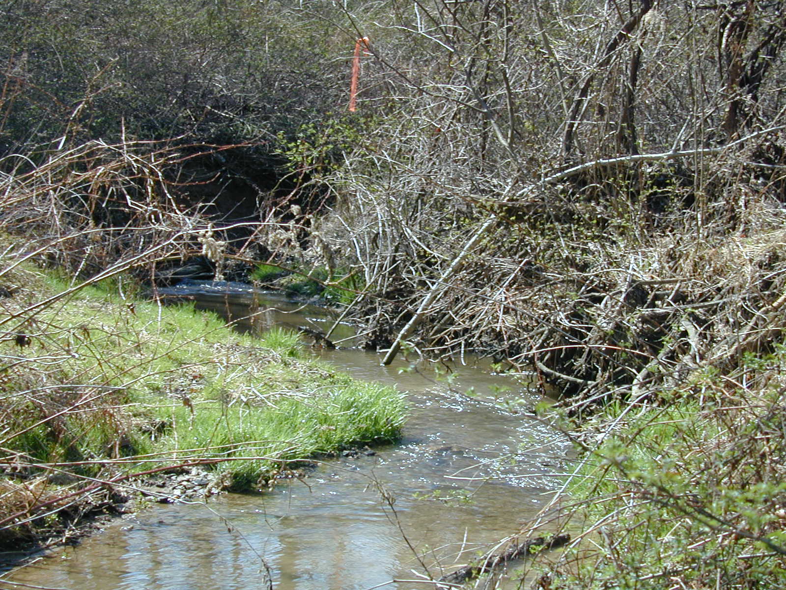 Field photo showing stream conditions at site LOCH-109-R-2002-491
