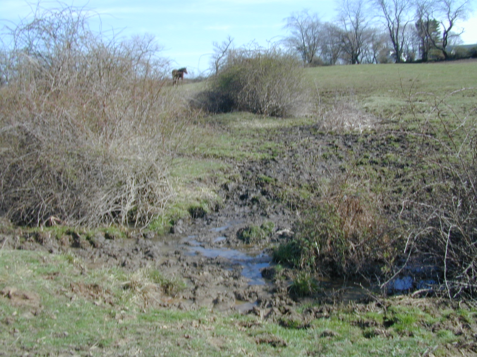 Field photo showing stream conditions at site LOCH-111-R-2002-496