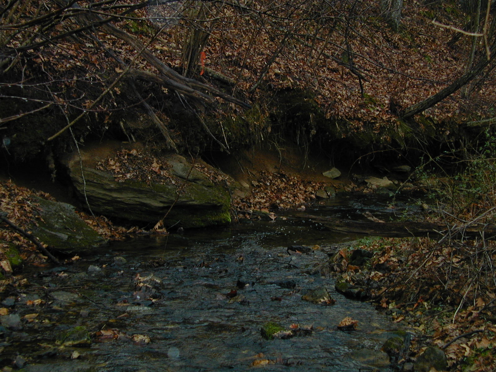 Field photo showing stream conditions at site LOCH-112-R-2002-513