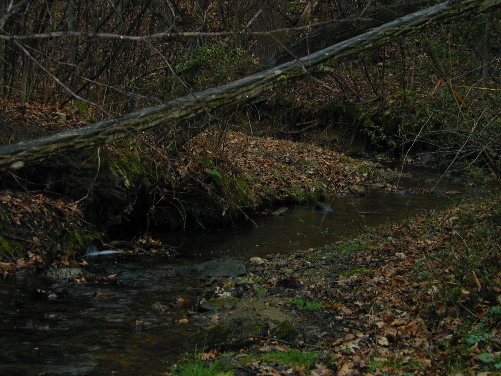 Field photo showing stream conditions at site LOCH-112-R-2002-514