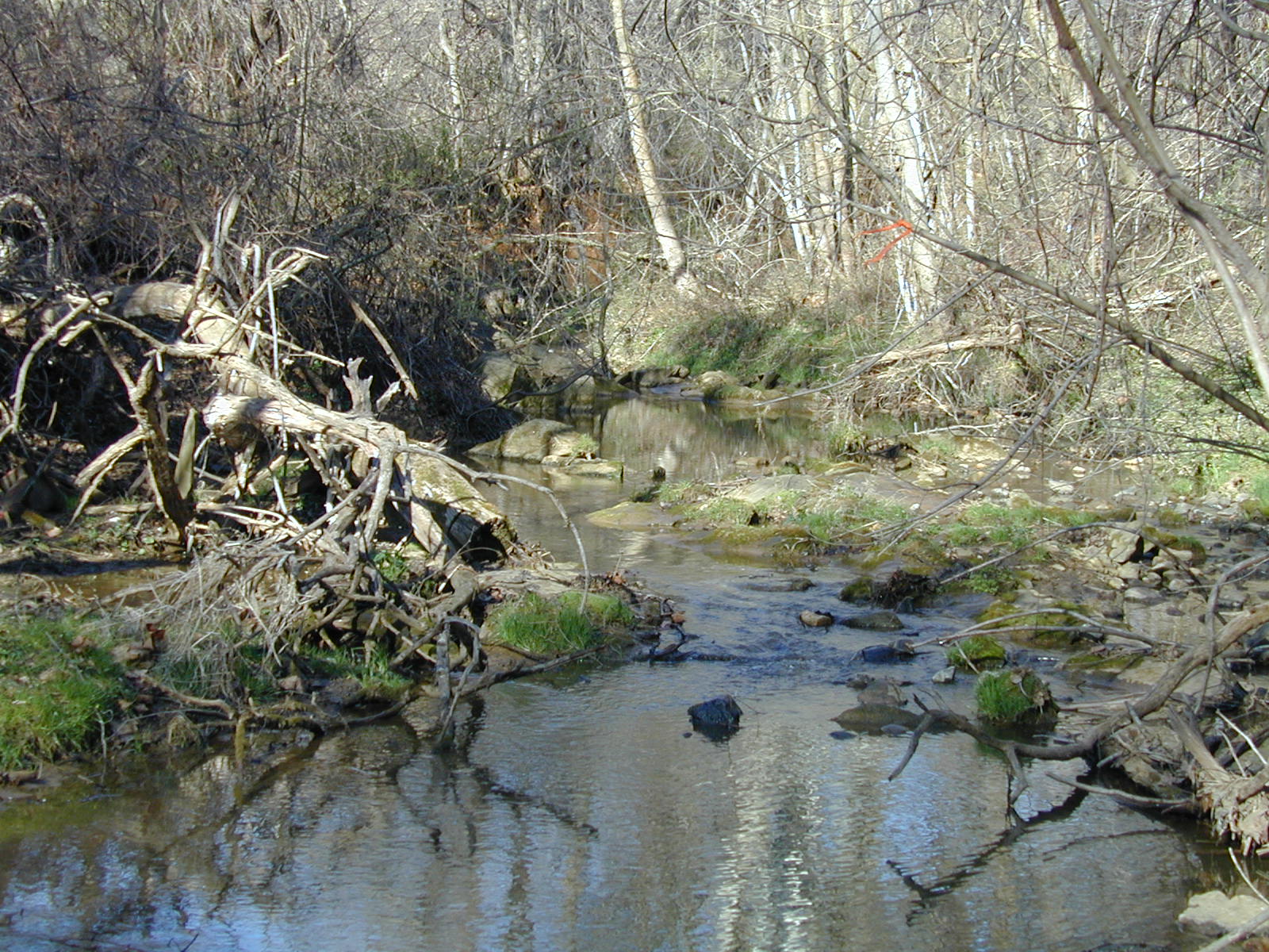 Field photo showing stream conditions at site LOCH-114-R-2002-517