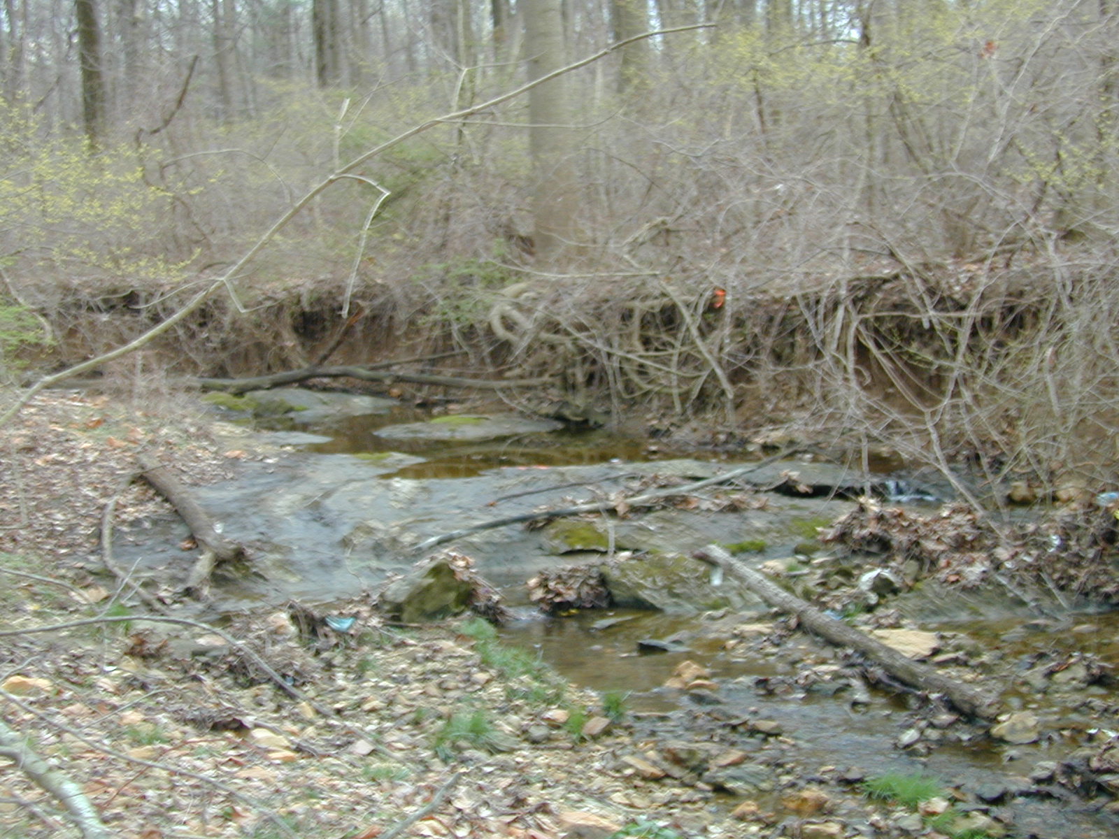 Field photo showing stream conditions at site LOCH-115-R-2002-515