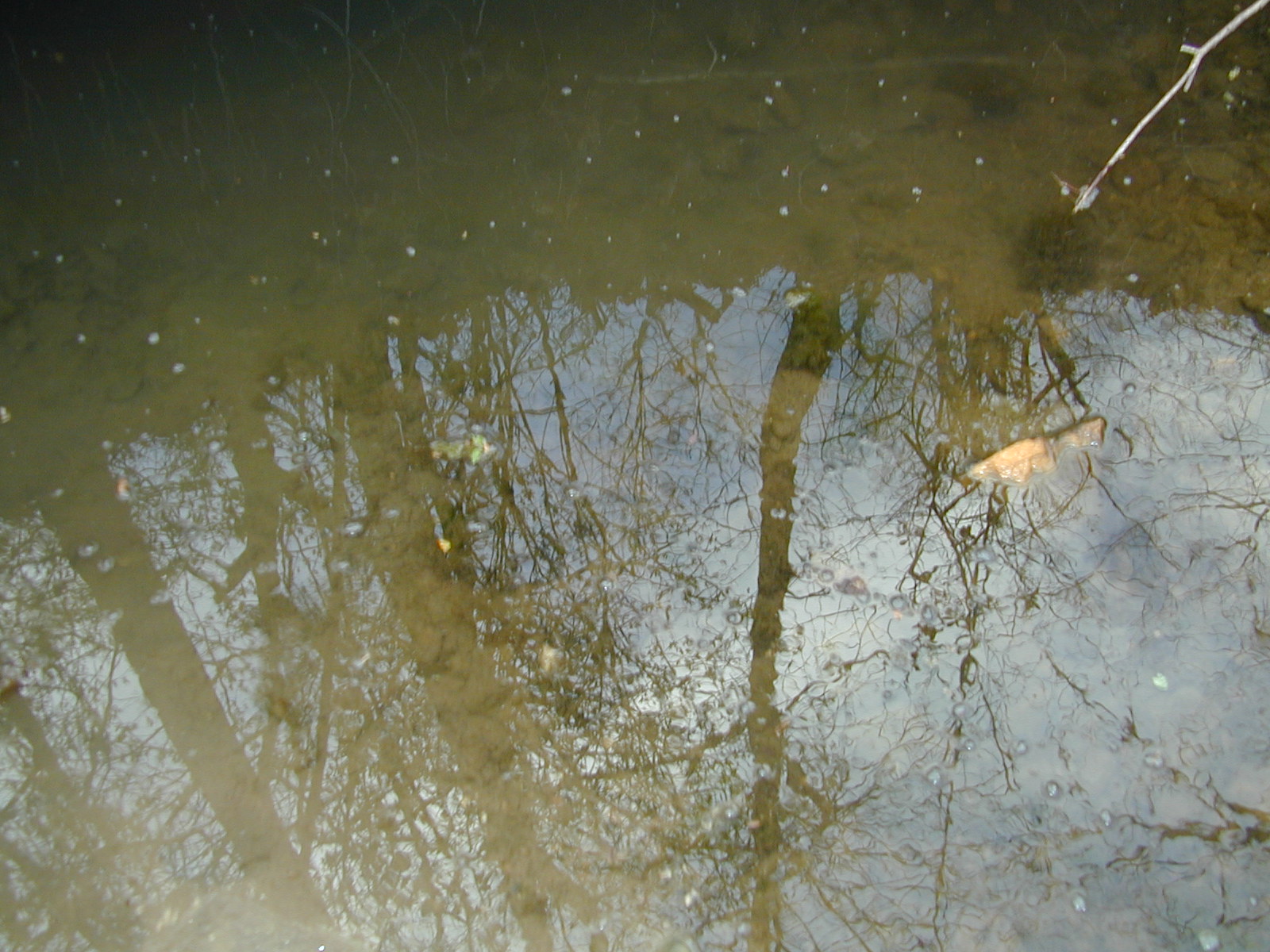 Field photo showing stream conditions at site LOCH-115-R-2002-516