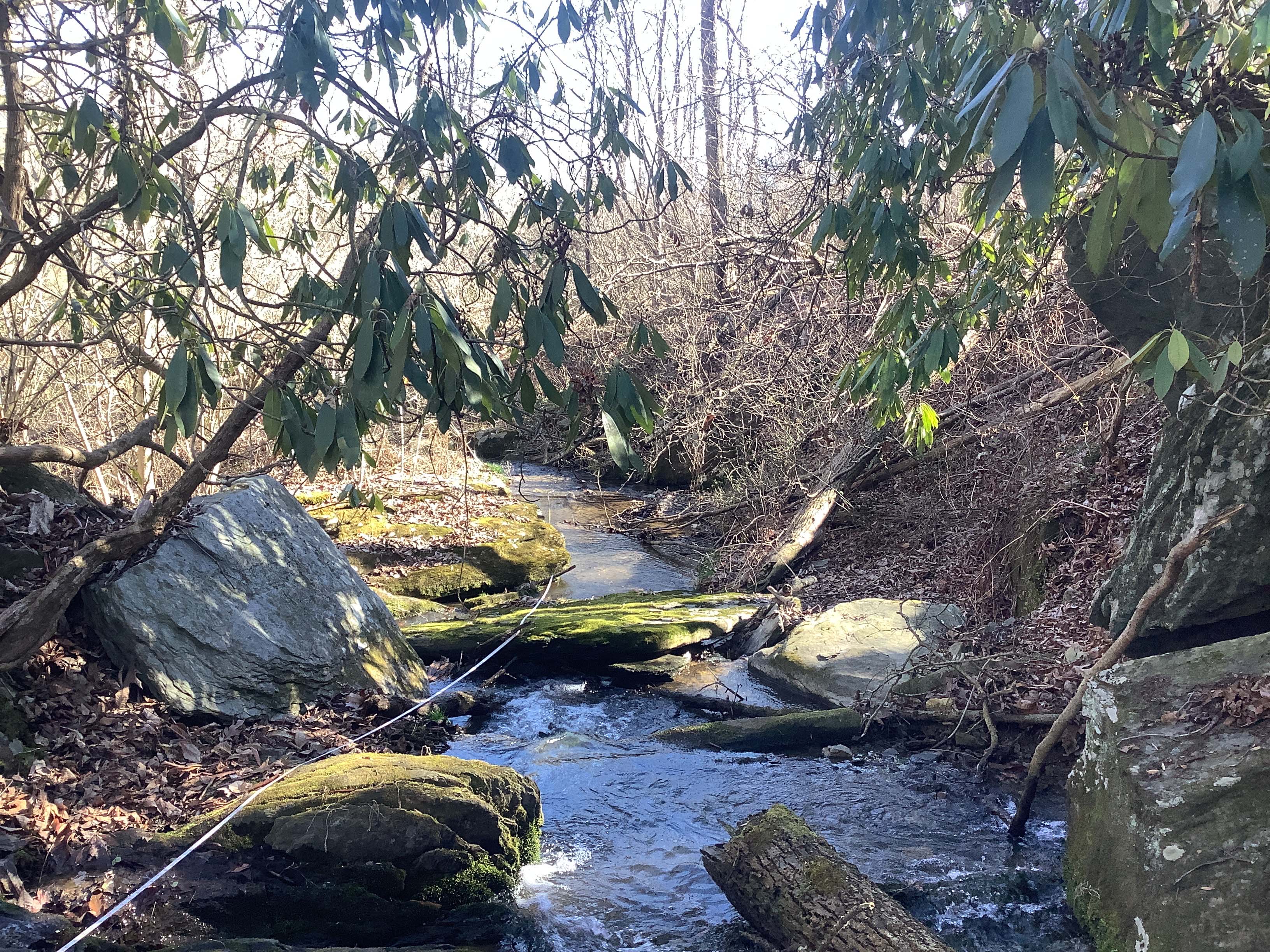 Field photo showing stream conditions at site LOCH-120-R-2023_Midpoint_facing_downstream