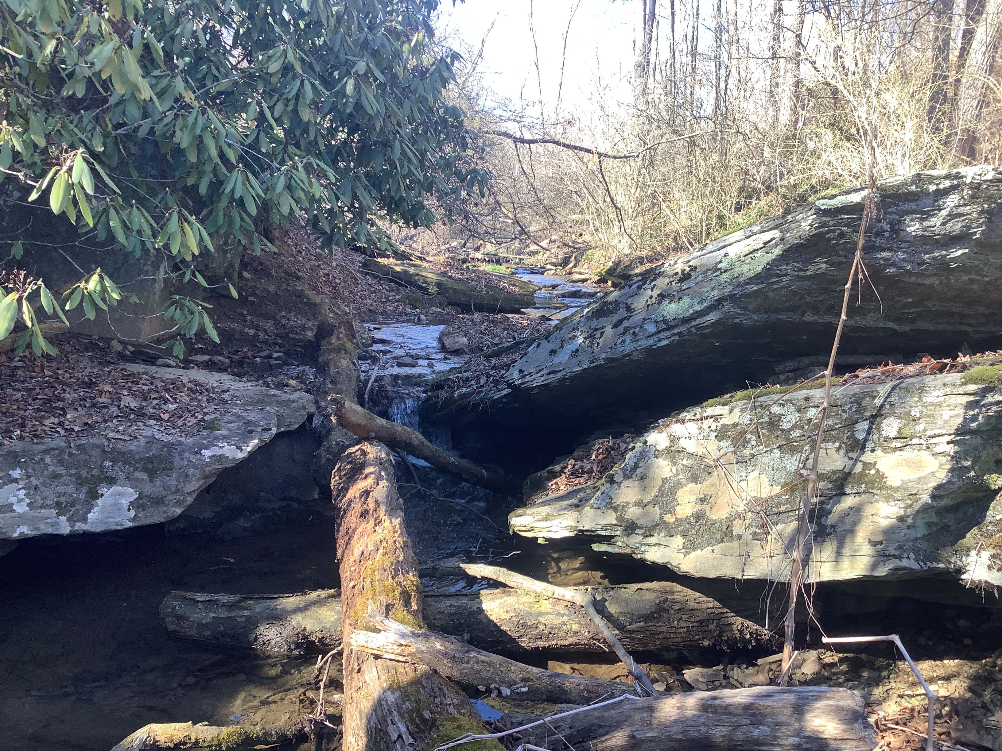Field photo showing stream conditions at site LOCH-120-R-2023_Midpoint_facing_upstream