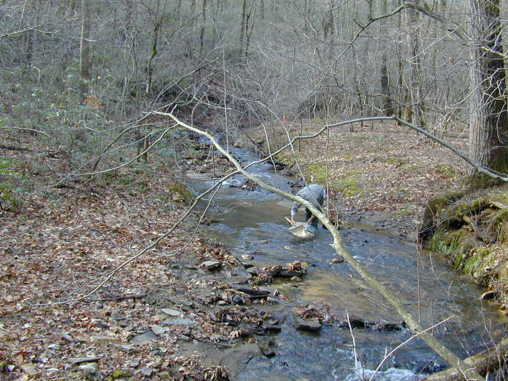 Field photo showing stream conditions at site LOCH-120-S-2000-01
