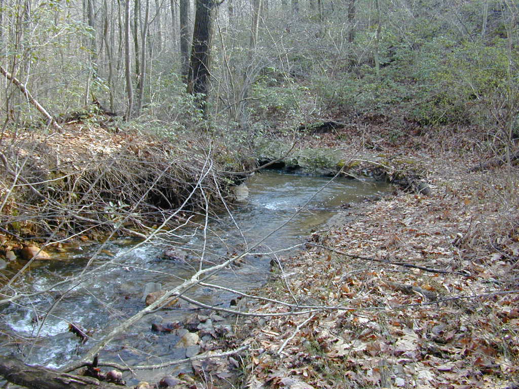 Field photo showing stream conditions at site LOCH-120-S-2000-02