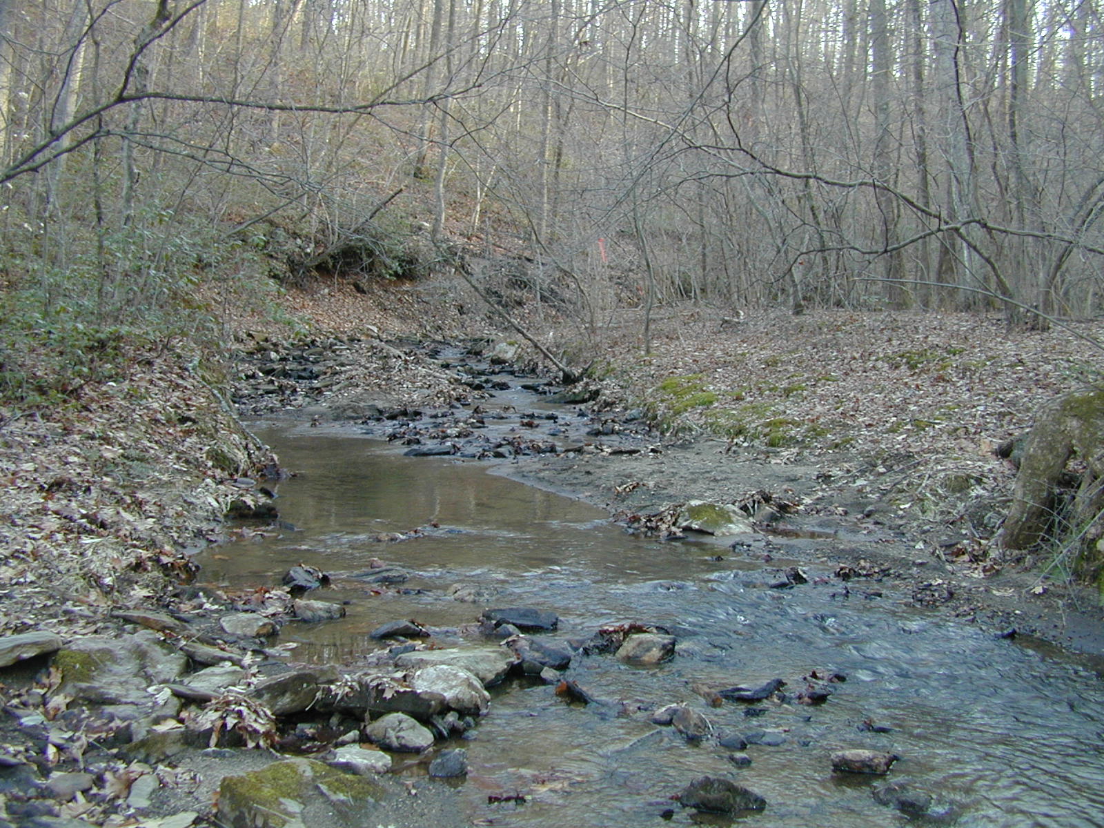 Field photo showing stream conditions at site LOCH-120-S-2001-1