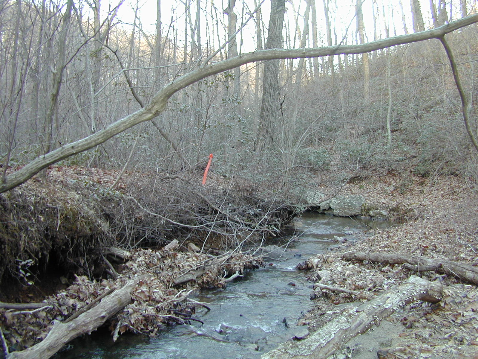 Field photo showing stream conditions at site LOCH-120-S-2001-2