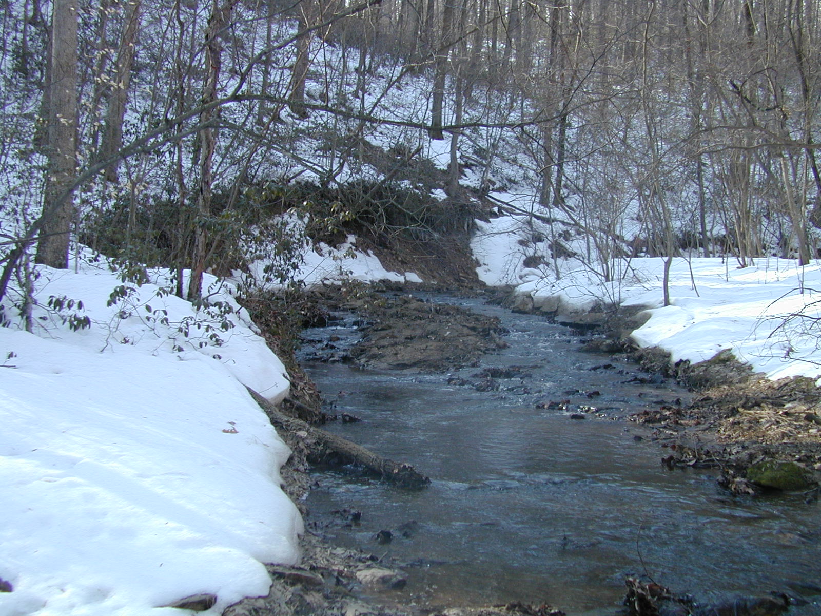 Field photo showing stream conditions at site LOCH-120-S-2003-651