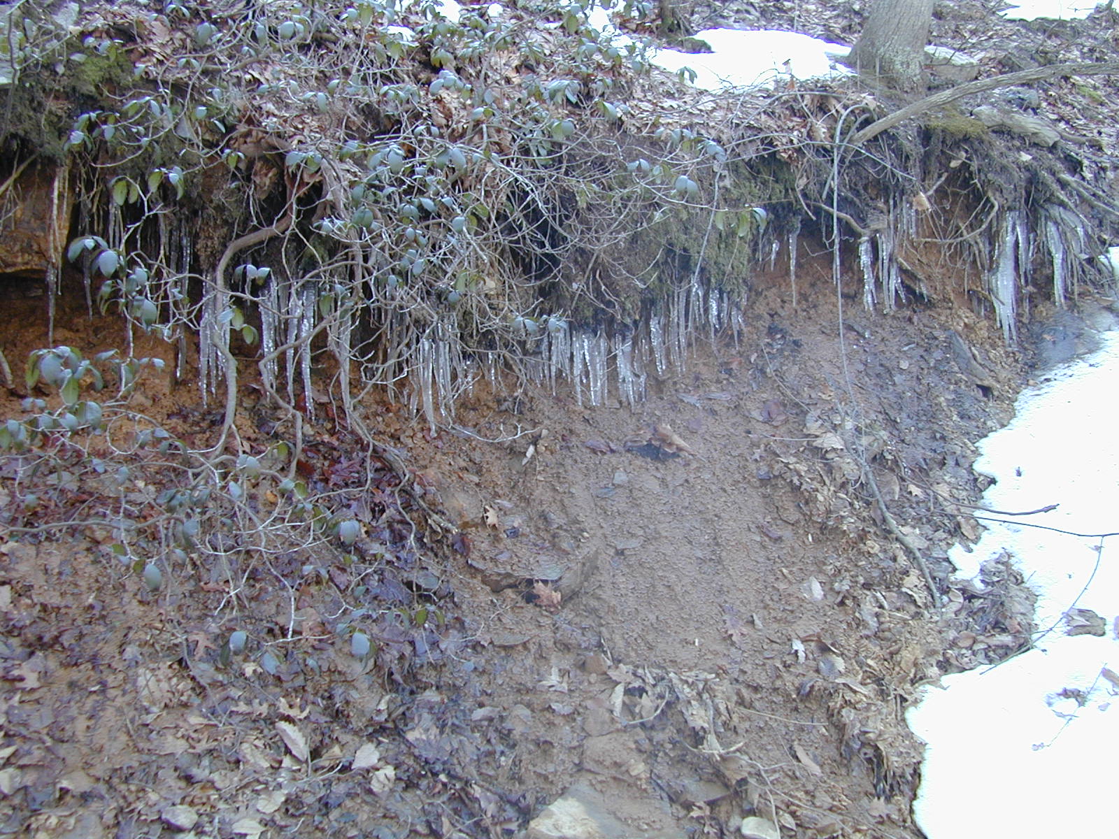 Field photo showing stream conditions at site LOCH-120-S-2003-652