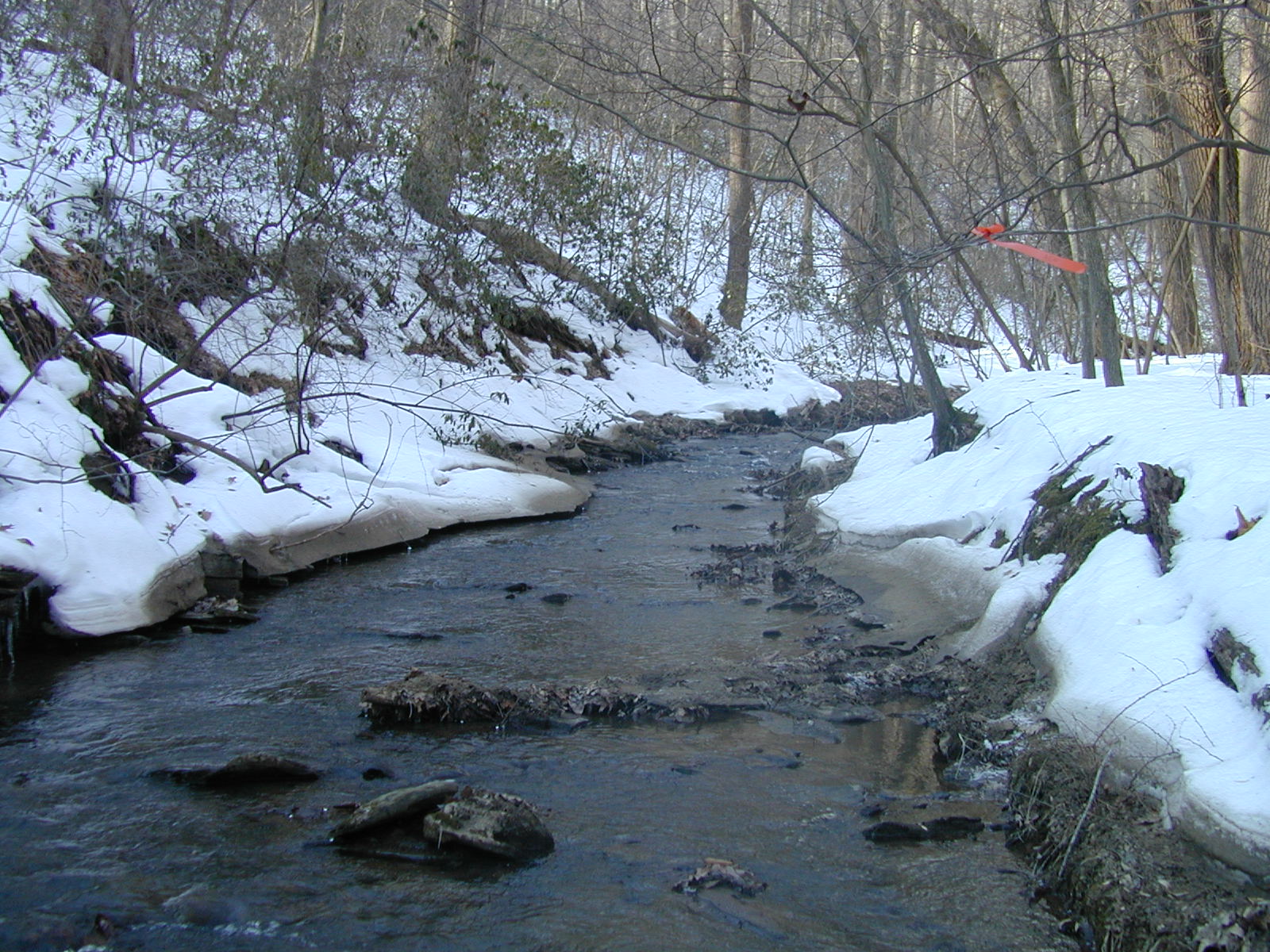 Field photo showing stream conditions at site LOCH-120-S-2003-653