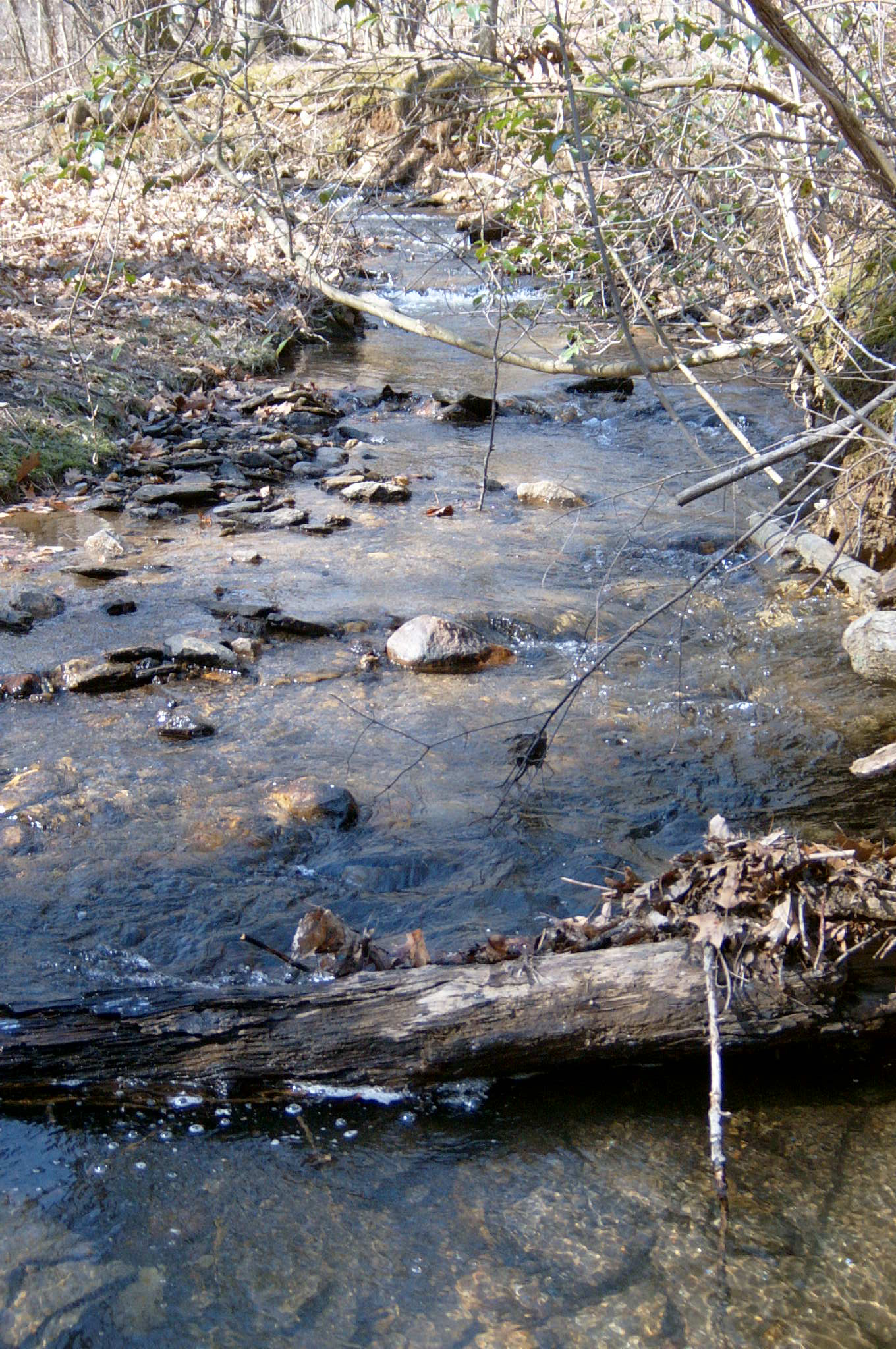 Field photo showing stream conditions at site LOCH-120-S-2004-18