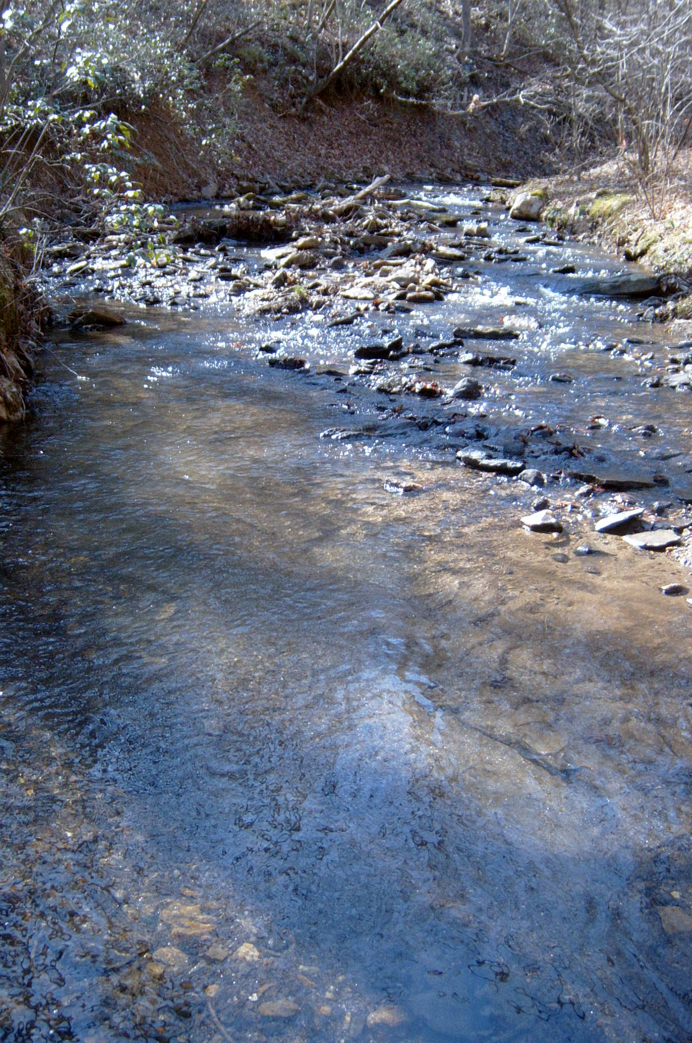 Field photo showing stream conditions at site LOCH-120-S-2004-19