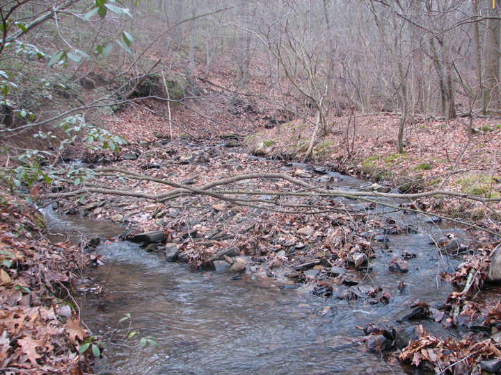 Field photo showing stream conditions at site LOCH-120-S-2008-2